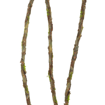 PK 12 - 72" Long Green Twig