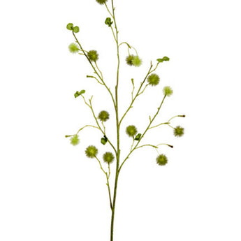 Pk 24 - Green Pompom Spray