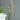 Pk 24 - Light Beige/Gray Teasel Grass Spray