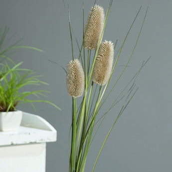 Pk 24 - Light Beige/Gray Teasel Grass Spray