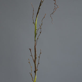 Pk 6 - 63" Green and Brown Beeh Spray Branch