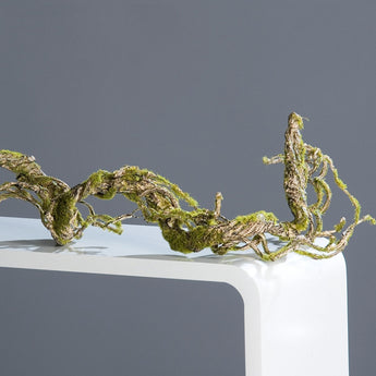 Pk 6 - 53" Liana Branch with Green Moss