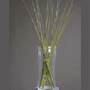 Pk 12 - 42" Bundle of 6 Green Bamboo Stick