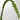 Pk 12 - 27.5" Green Asplenium Leaf