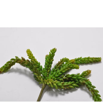 Pk 12 - Green with Brown Accents Succulent Pick