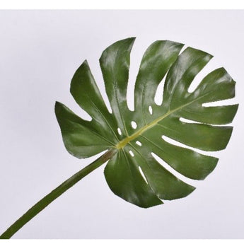 Pk 24 - Green Monstera Leaf Stem