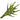 Pk 24 - Green Heliconia Stem