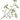 PK 12 - Leaf Spray Green