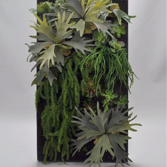 Pack 1 - Assorted Green Succulents Mounted on a Moss Wall Plaque