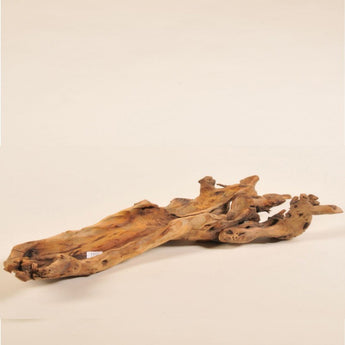 NATURALE - Decorative Natural Teak Wood Centerpiece