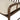 Inspired Whistler Spindle Dining Arm Chair – view 14