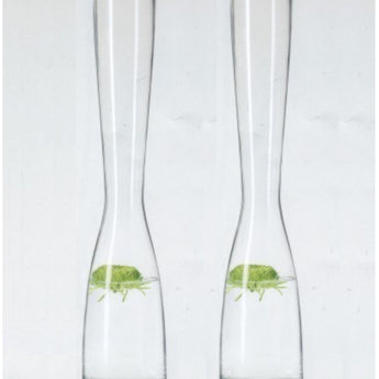 KASAI - Clear Glass Vase