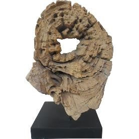 Organic Wood Teak Root Deco Sculpture on Stand