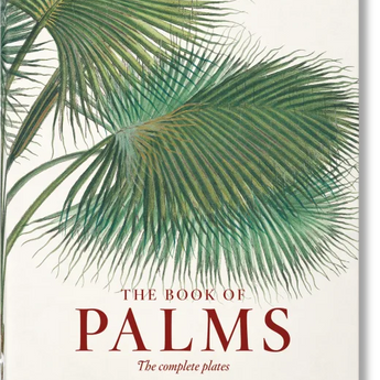 Martius. The Book of Palms
