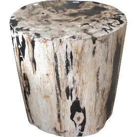 Petrified Wood Stool Fully Polished