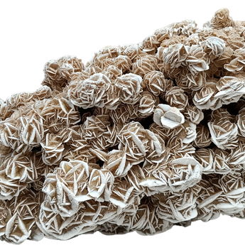 Vilaahumada Desert Rose Formation