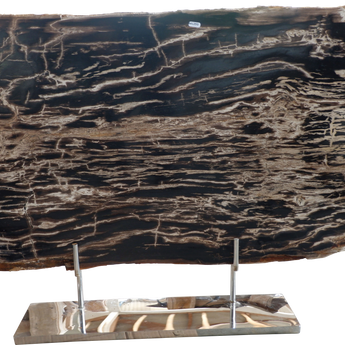 Petrified Wood Slice on Stand Sculpture
