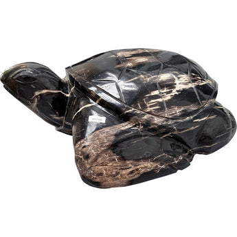 Petrified Wood Turtle Sculpture