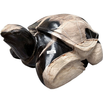 Petrified Wood Turtle