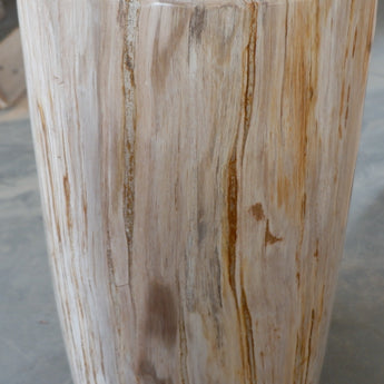 Fully Polished Petrified Wood Stool