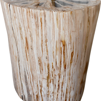 Fully Polished Petrified Wood Stool