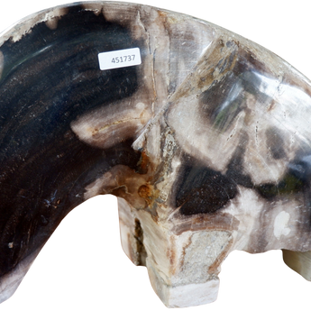 Polished Petrified Wood Elephant