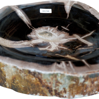 Small Organic Petrified Wood Bowl