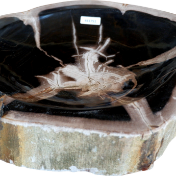 Small Organic Petrified Wood Bowl