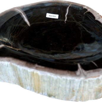 Small Petrified Wood Bowl
