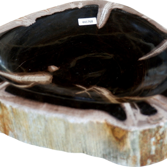 Small Petrified Wood Bowl