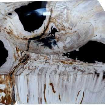 Hand-Carved Petrified Wood Catchall