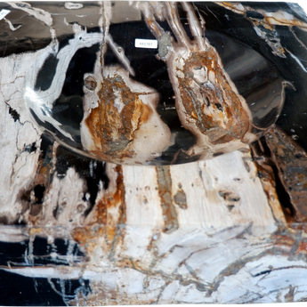 Hand-Carved Petrified Wood Catchall