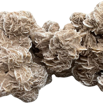 XL Giant Desert Rose Formation