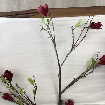 Pk 4 - 64'' Giant Burgundy Magnolia Branch