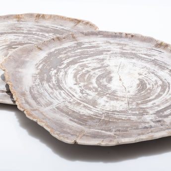 XL Petrified Wood Plate