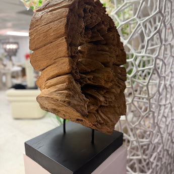 Organic Wood Teak Root Deco Sculpture on Stand