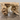 Organic Suar Root Console Table