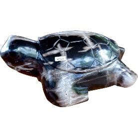Petrified Wood Turtle Sculpture
