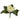 MAGNOLIA PICK