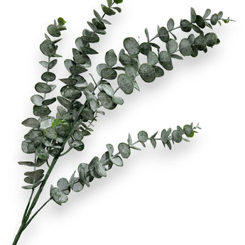 Eucalyptus Spray L