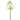 White Anthurium Stem 25"