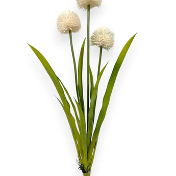 Pom Pom Alluim Bush 24"