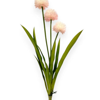 Pom Pom Alluim Bush 24"