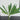 Artificial Plant (small)