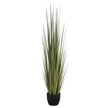 Potted Century Grass-60"