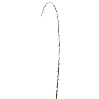 65"PUSSY WILLOW BRANCH GY