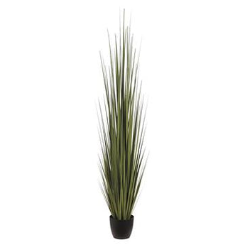 Potted Century Grass-86"