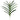 21" VANDA ORCHID LEAF PLANT 12 Leaves
