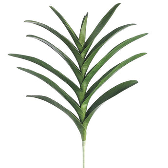 21" VANDA ORCHID LEAF PLANT 12 Leaves