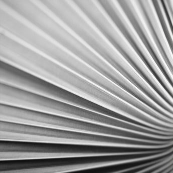 Sepia Diptych Palm Print 24"x36" (Left)